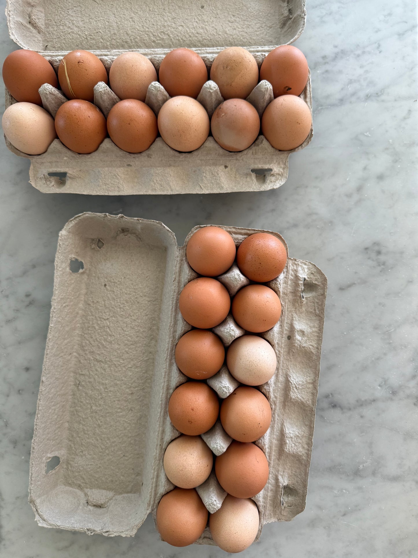 Our Farm Fresh Eggs (1 Dozen)