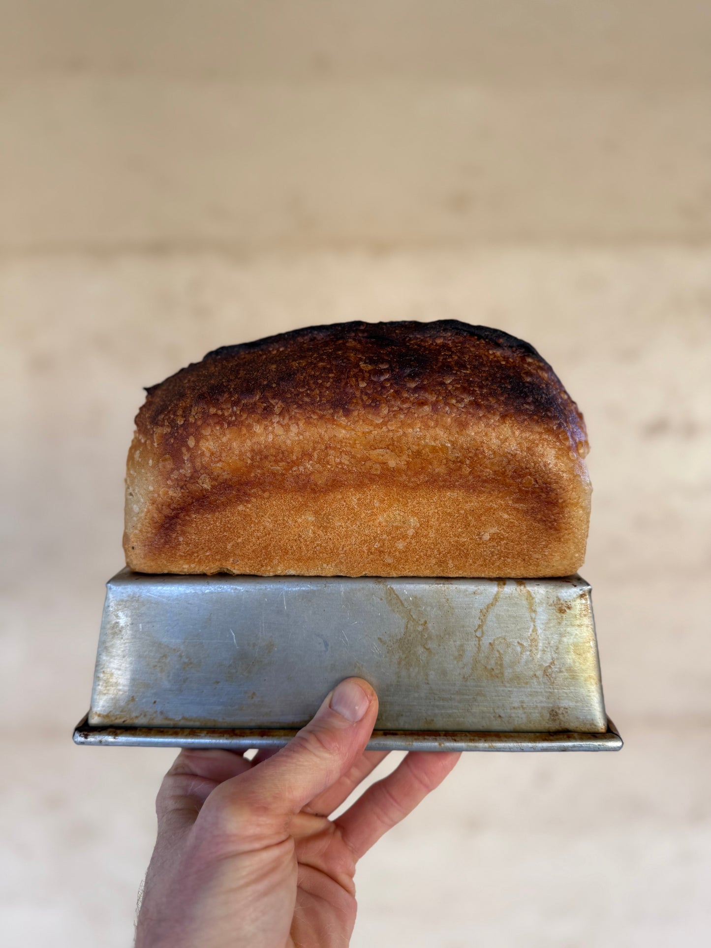 Tiny Tin Sourdough Loaf 800g