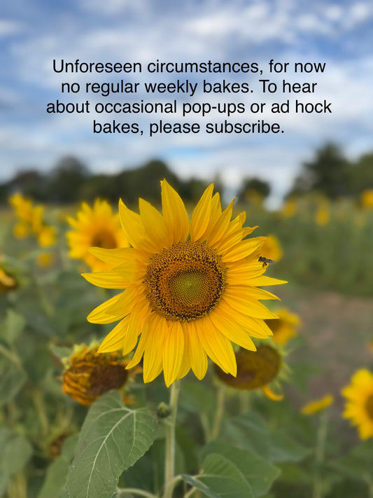 Bake update...