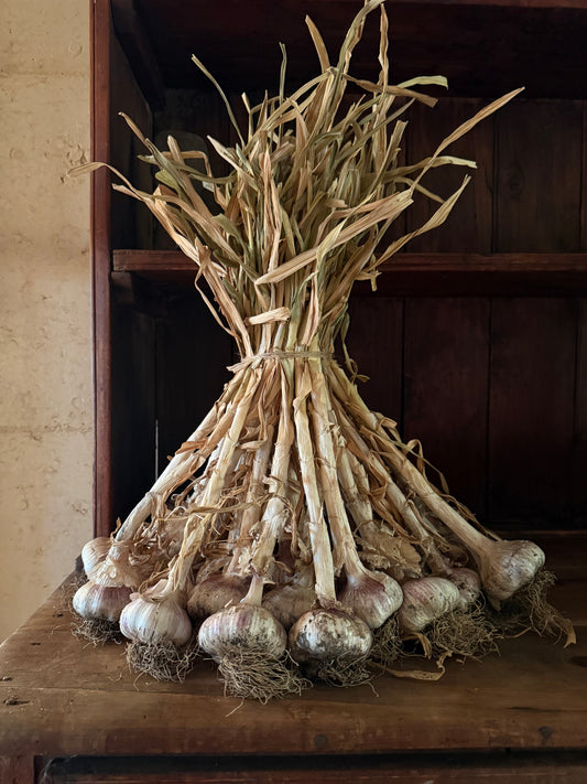 New Season Garlic each