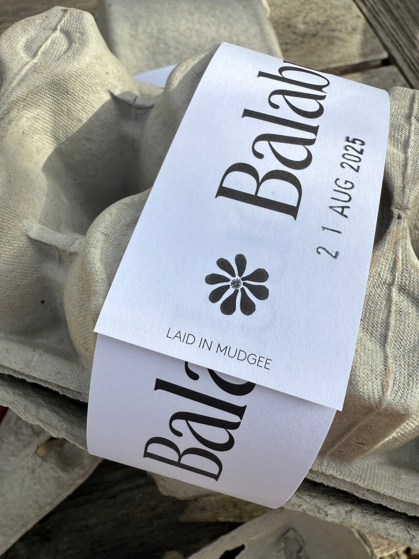 Our Farm Fresh Eggs (1 Dozen)