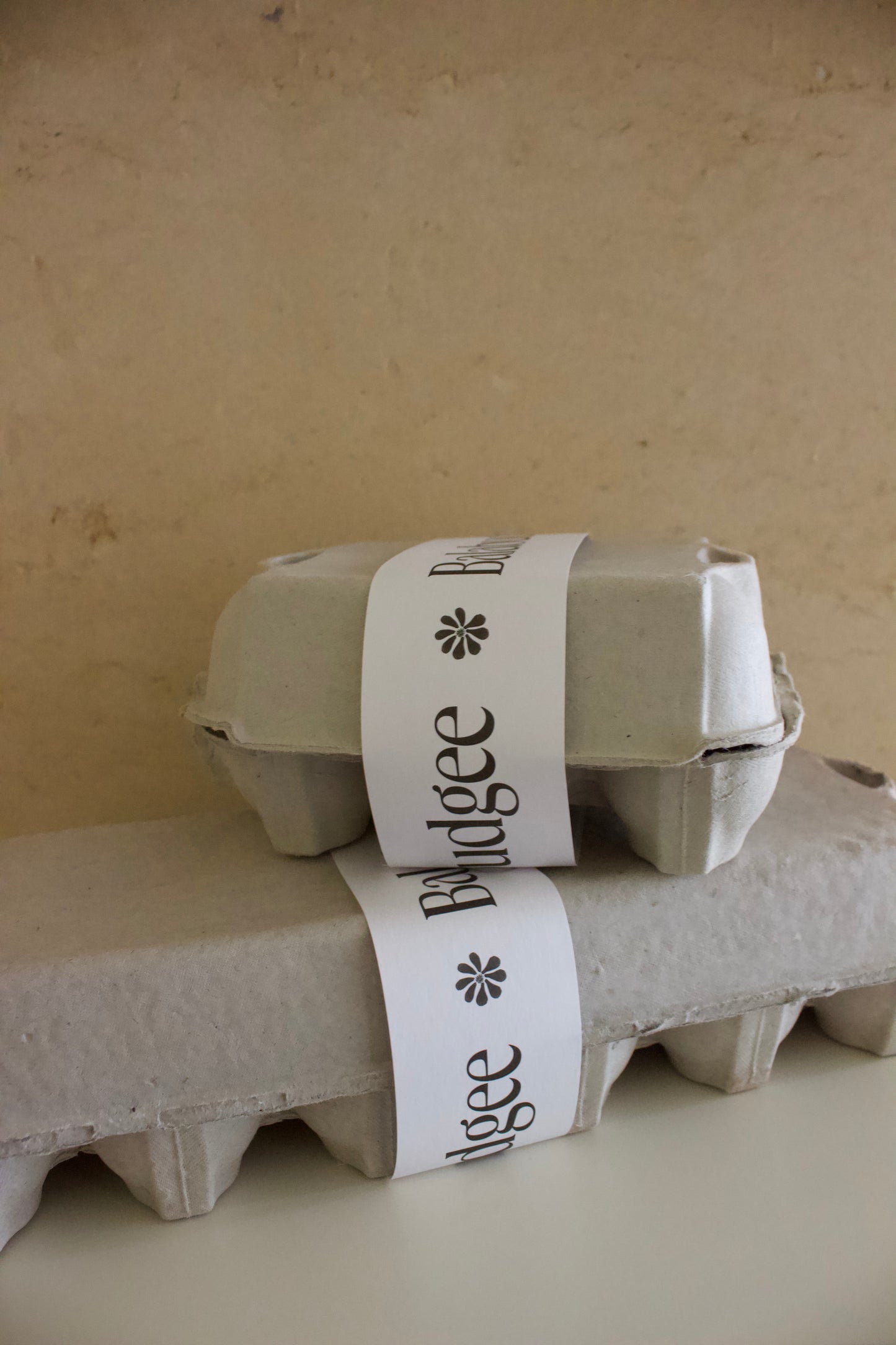 Our Farm Fresh Eggs (1 Dozen)